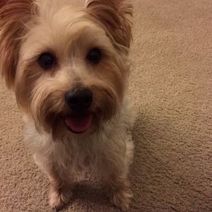 Meet your Posher, Mia